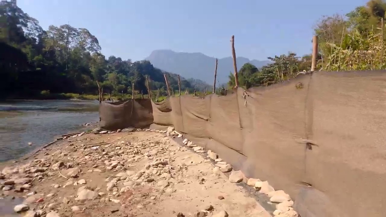 န့ဆၢၣ်တၢ််ဃံတၢ််လၤဖဲMLO