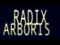 The Honor Code, "Radix Arboris" lyric video