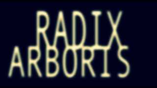 The Honor Code, "Radix Arboris" lyric video