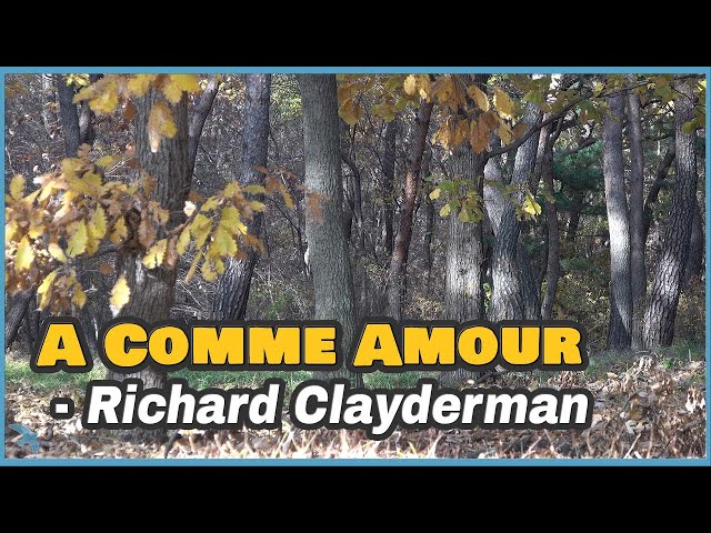 [4K] Richard Clayderman - A Comme Amour (L for Love) 1978 가을의 속삭임