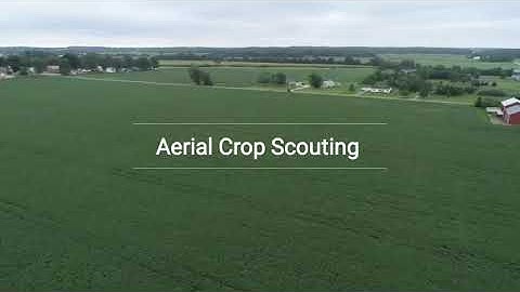 Aerial Crop Scouting teaser