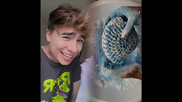 This Is So Funny I Couldn T Stop Laughing Funny Doddlersoftiktok Funnyvideos Duet 