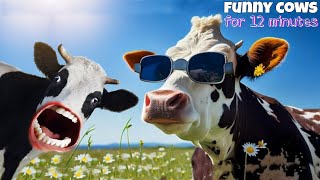 FUNNY COW DANCE FOR 12 MINUTES STRAIGHT | Cow Song \& Cow Videos 2024 | Cow dance mix | dancing cow