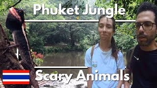 Phuket Jungle, Ton Sai, Scary Crawling Between The Trees