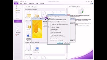 InfoPath 2010  |  Importing from Word and Excel