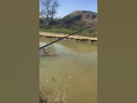 Юзбаш рыбалка Дагестан