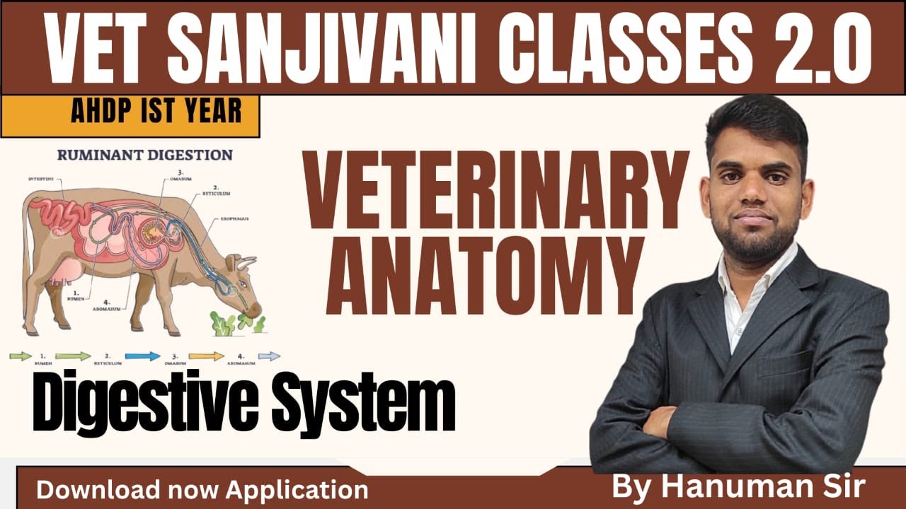 AHDP Ist year 2025 | veterinary Anatomy | Digestive System | Vet sanjivani classes | by Hanuman Sir