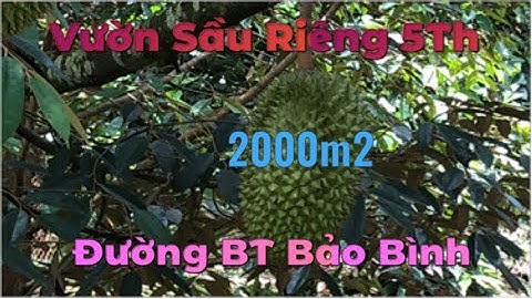 Bán Vườn Sầu Riêng 2000m2 Đường Bê Tông Xã Bảo Bình Cẩm Mỹ - 2,8 tỷ | nhà đất đnb