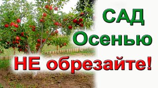 Не обрезайте сад осенью. Навредите ему.