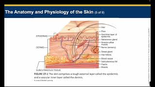 EMT- Chapter 27 Lecture Part 1 - Soft Tissue Injuries