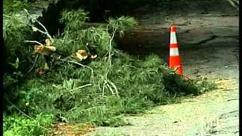 Crews Work To Remove Fallen Trees
