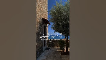 سورة ص | ماهر المعيقلي