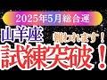 【山羊座】2025年5月の山羊座に贈る再生と希望のやぎ座のタロット＆星占い