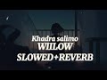 Wiilow  slowedreverb  khadra salimo