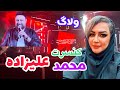 آرزوم برآورده شد ولاگ کنسرت محمد علیزاده 