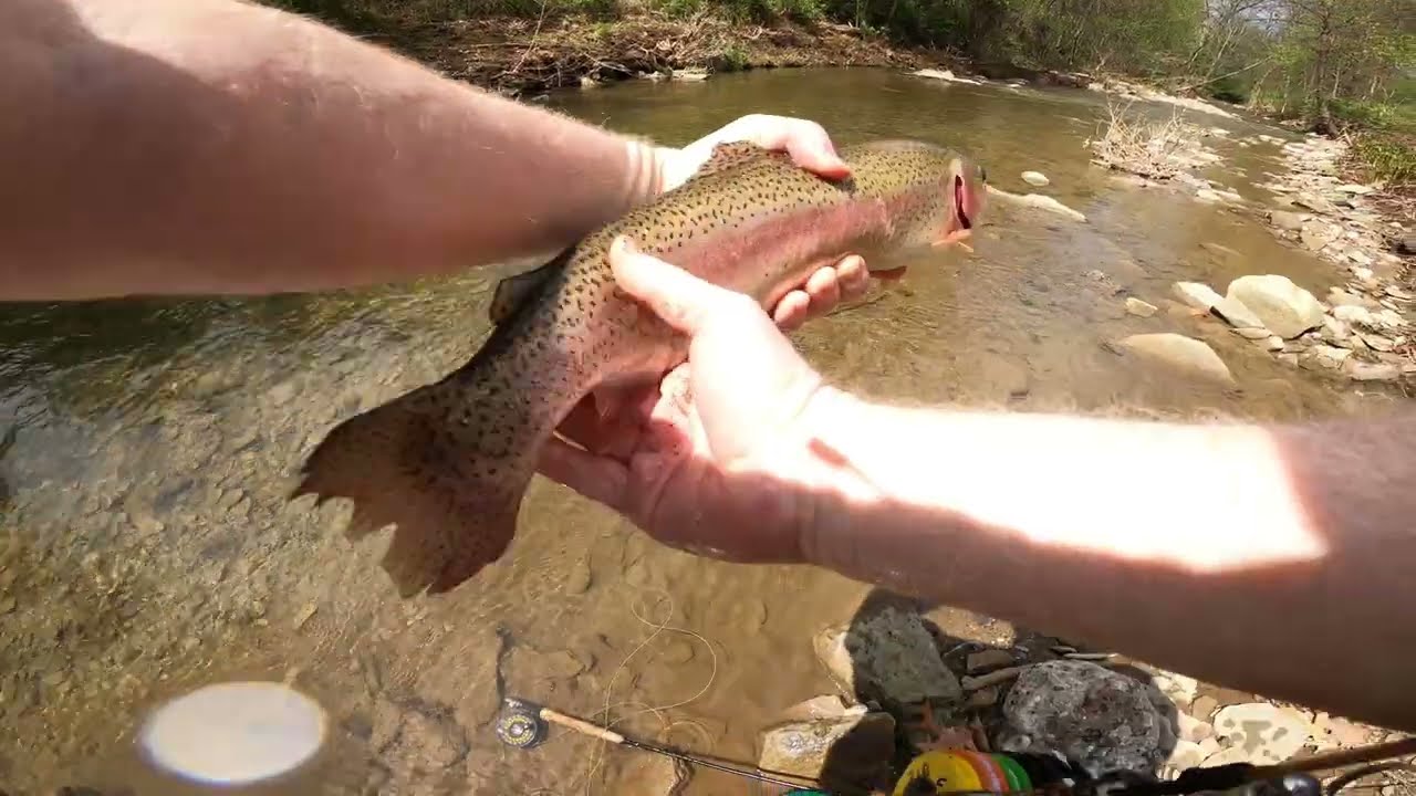 Allegheny County Fly Fishing (Western Pa) 2024