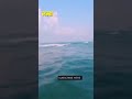 World&#39;s Longest 3 rivers #river #information #info #knowledge #trendingshorts #reels #trendingshorts