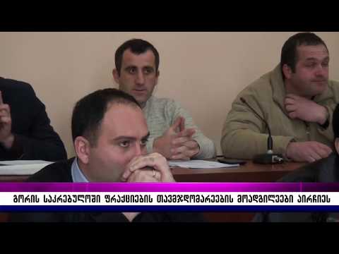 გორის საკრებულოში ფრაქცის თავჯდომარების მოადგილები დაინიშნენ