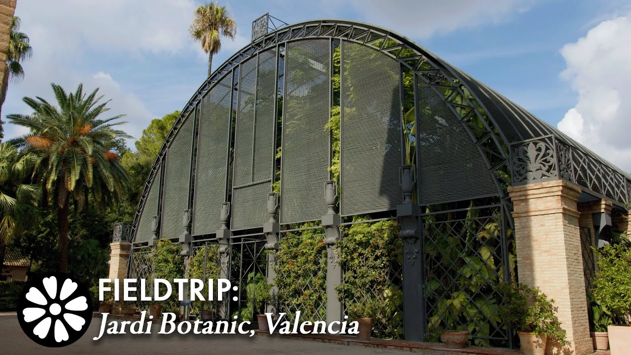 FIELDTRIP: Jardi Botanic, Valencia