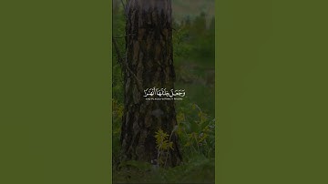 سورة النمل آية(٦١)بصوت جميل
