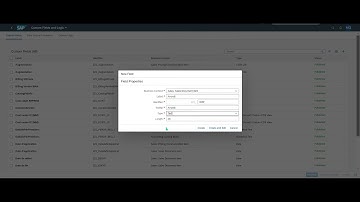 Boost Your SAP Apps with Custom Fields   A Beginner
