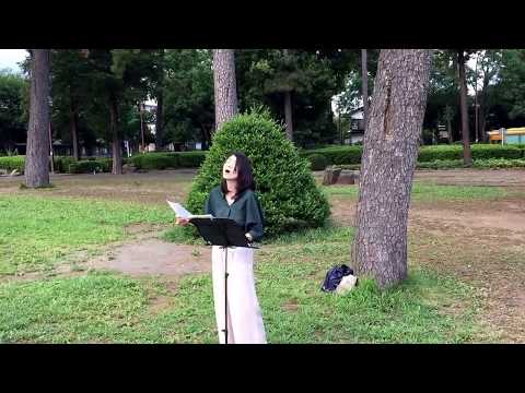 Michiko 公園ライブ①「かぐや姫 わらべ歌」