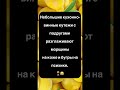 🍷 Девичьи посиделки — лучше любой терапии! 😂 #юмор #смехпродлеваетжизнь #смех #анекдоты #шуточное