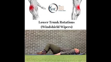 Lower Trunk Rotations (Windshield Wipers) - The Spine & Health Center of NJ