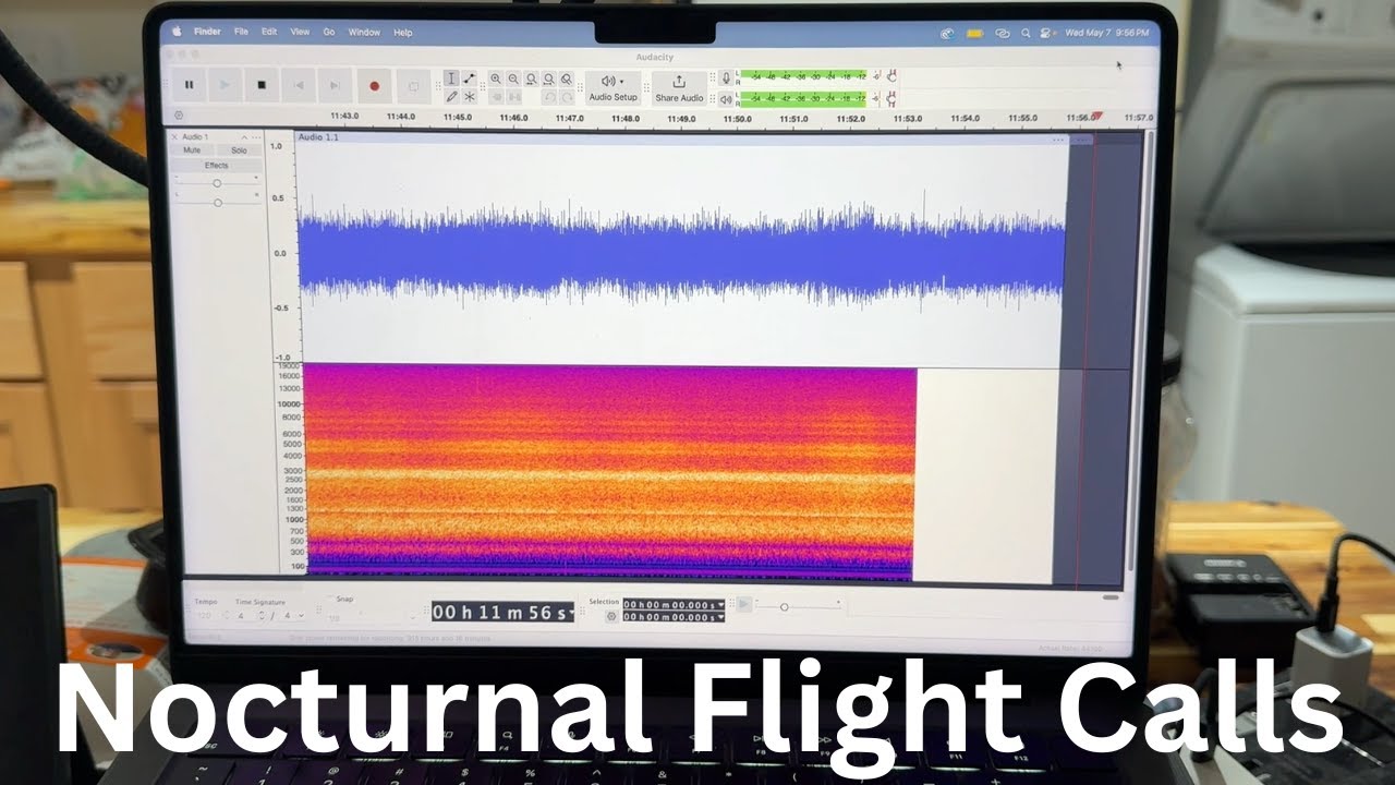 Nocturnal Flight Call Recording Setup for Migrating Birds at the Derby Hill Bird Observatory