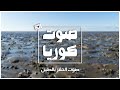 صوت كوريا صوت الحفر بالطين Gaetbeol Korea Sound Shorts صوت كوريا صوت الحفر بالطين Gaetbeol Korea Sound Shorts