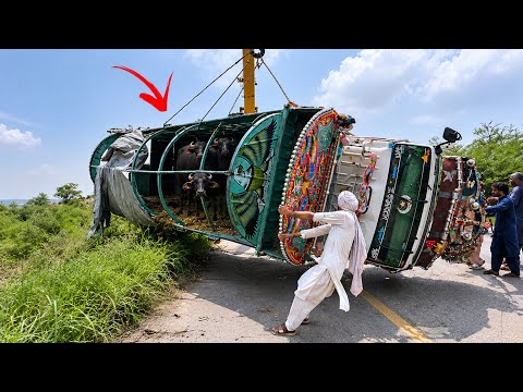 🚨 Animal Truck Crashes into Deep Ditch After Tire Burst | Emergency Rescue Operation!
