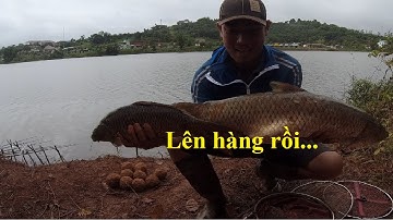Câu lancer hồ tự nhiên Trắm 7kg, chép 2,5kg - 10-2021