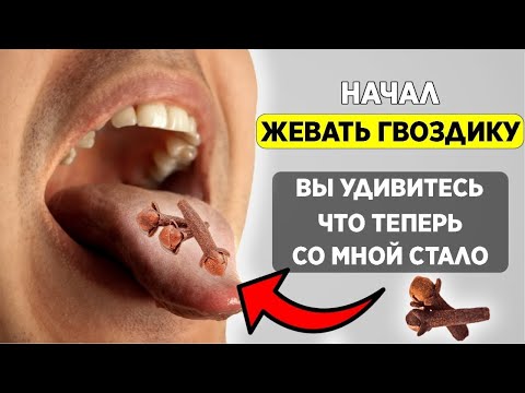 Жевал ГВОЗДИКУ 2