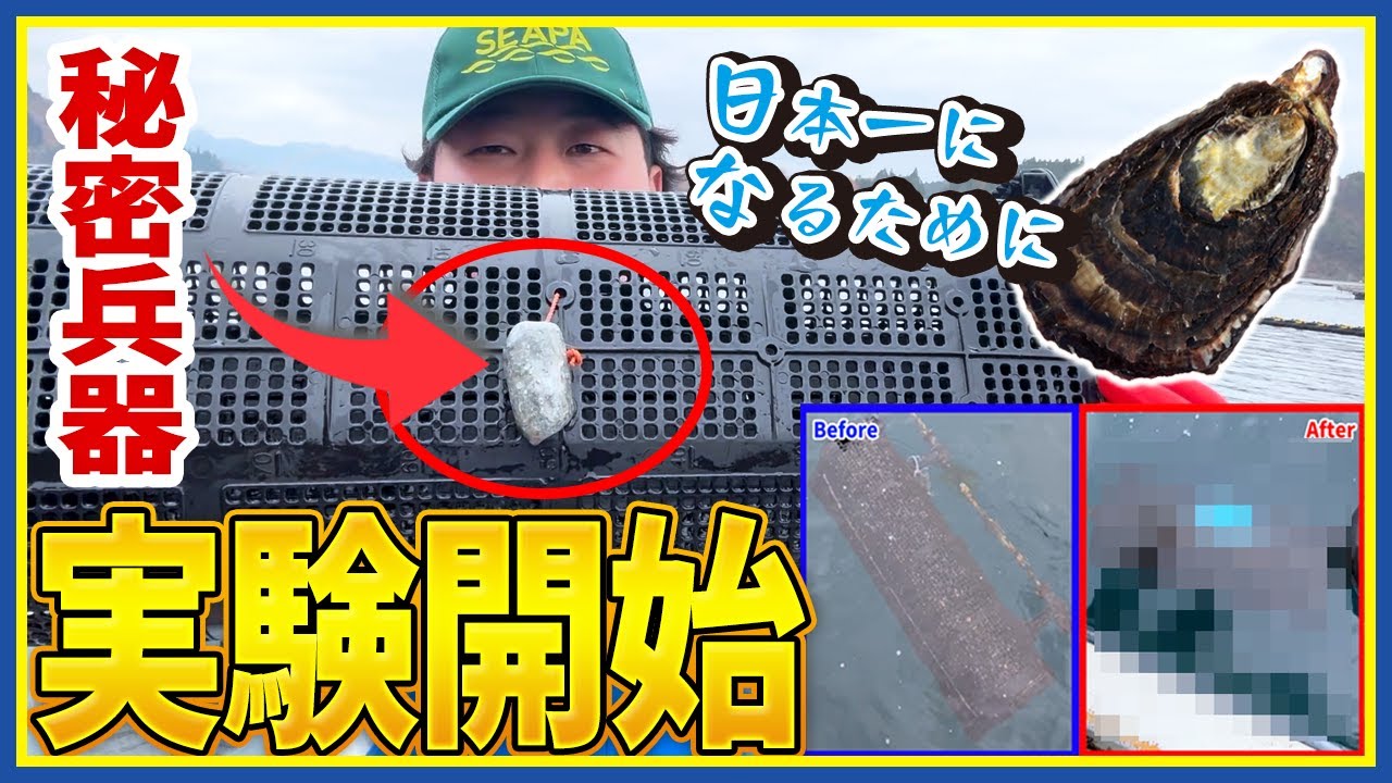 【実験開始】いったい牡蠣になにが！？