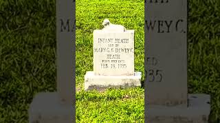 A Life Lived in a Day. #shorts