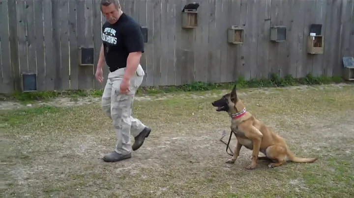 USK9  Roger Abshire Camilla Obedience   Kaplan, La