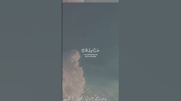 لا يذوقون فيها بردا(سورة النبأ) القارئ عبد الرحمن مسعد🌷