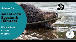 Intro to Community Ecology: Notable species, priority habitats and landscape designations