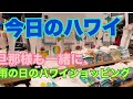 【今日のハワイ】Hawaii Toda| 雨の日の過ごし方はこんな感じ？〜$2026年4月11日