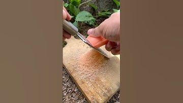 Survival Skill Soap HACKS to Save You Money and Time Now