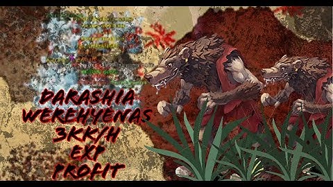 Tibia 2021 -  EK Darashia Werehyaena Lair. Knight Level Req 200+ South Spawn. EXP/ 600K PROFIT.