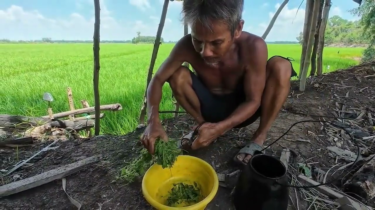 Bất Ngờ ghé Thăm Chú Thấy Bữa Cơm Hàng Ngày Của Chú Chỉ Có Lá Rau muống 