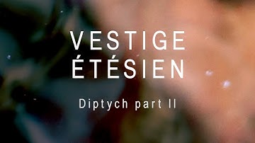 BARBASTELLE - Vestige Étésien · Diptych part II