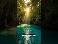 Brazil's Invisible Rivers - Bonito's 40m Clear Water #Shorts #brasil #bahia #explore