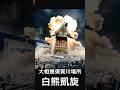 大相撲須賀川場所 白熊凱旋 チケット先行販売&握手会#ASMR #Shorts