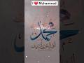 #I❤️Muhammad#islamicvideo #unfrezzmyaccount#youtubeshorts #shortvideo#shorts#mychannel subscriber🥳💯