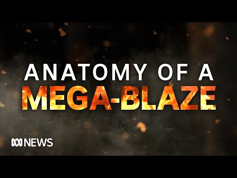 Video: Ar krūmų gaisras sustojo?