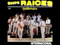 Perdoname  grupo raices audio quillasalsa