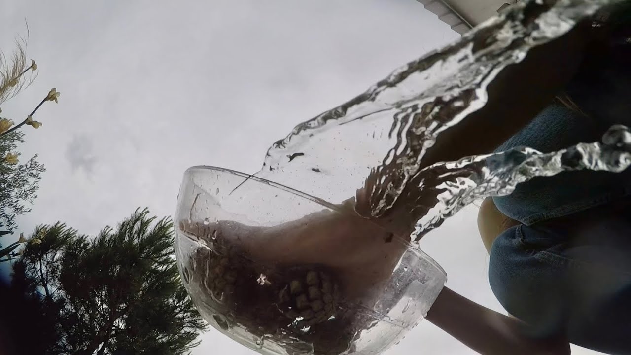 pov: 💧you are underwater 💧 // the most chaotic asmr you will ever see ~