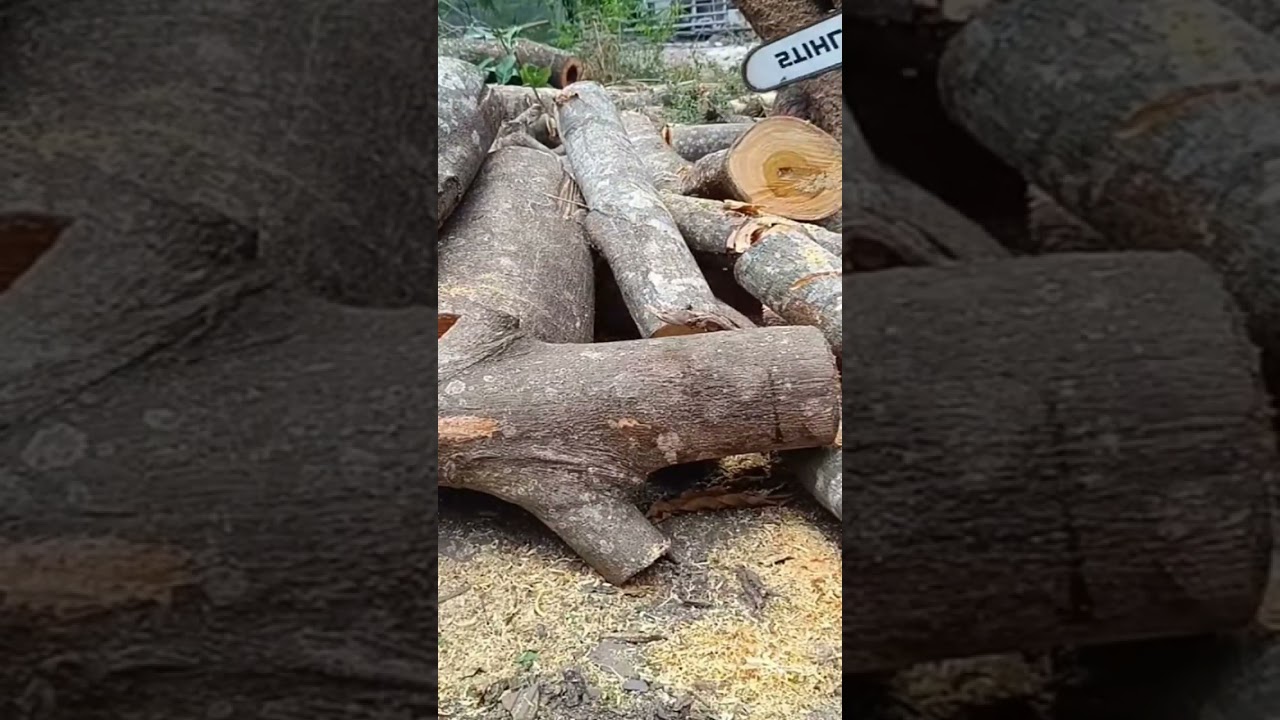 Satisfying sound ❤️ 